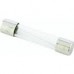 Fuse GMA-2-R 2A(250V) bussmann 100pcs/BOX