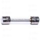 Fuse 8A(250V) 